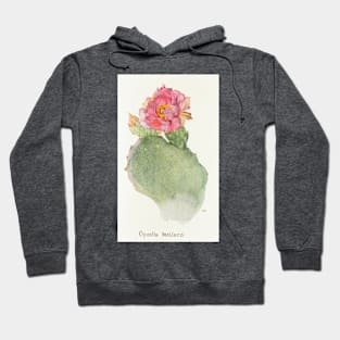 Beavertail cactus - Botanical Illustration Hoodie